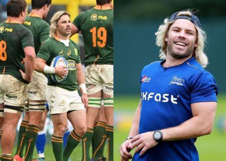 Faf de Klerk Height: A Comprehensive Guide to the Rugby Star's Stature and Influence