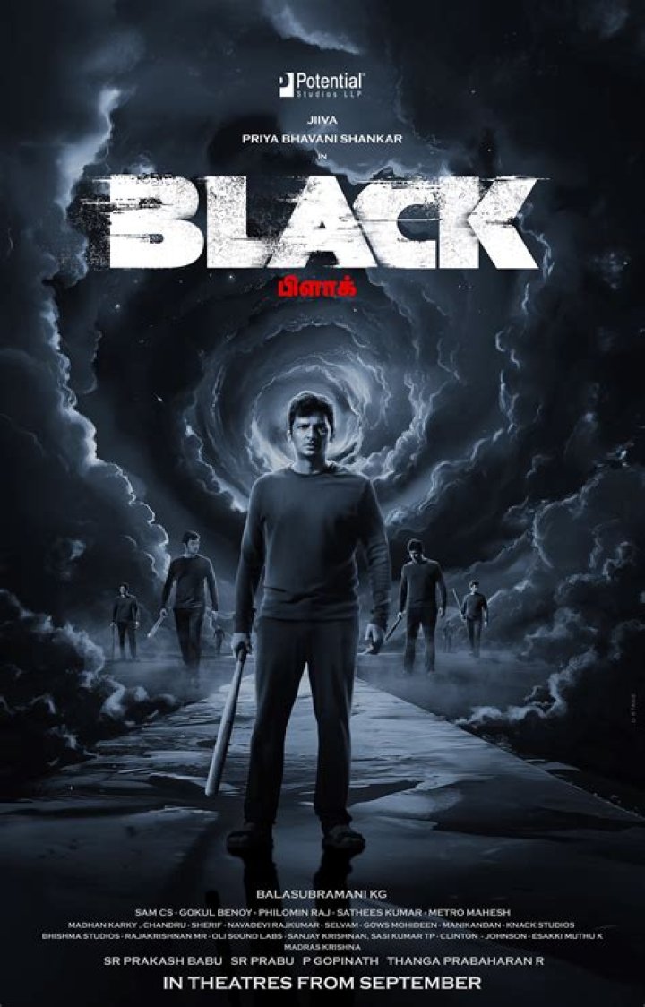 HDHub4U ZIP South Hindi Dubbed: Your Ultimate Guide to Streaming Bliss