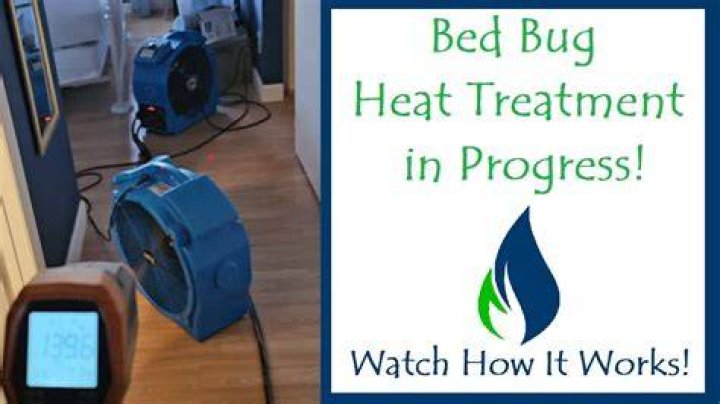 Insect Heat Treatment for Bakeries: A Comprehensive Guide