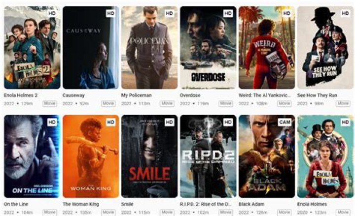 MKVMoviesPoint New Link Download: Your Ultimate Guide to Streaming and Downloading Movies