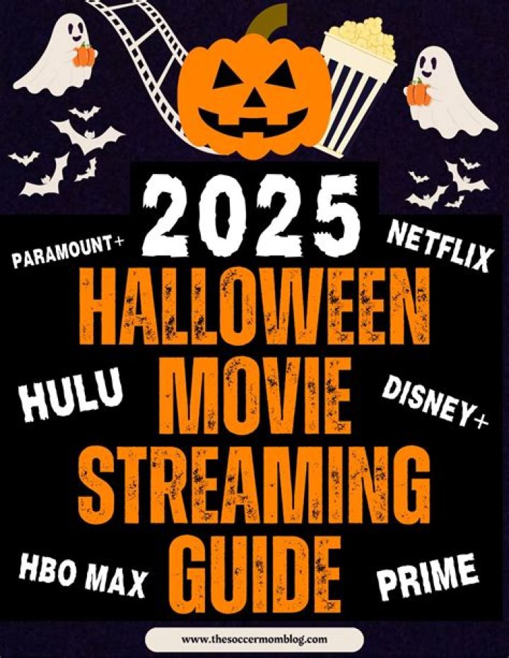 MKVMoviesPoint Official Website Download: Your Ultimate Guide to Legit Movie Streaming
