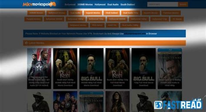 MKVMoviesPoint Zip Category Dual Audio: Your Ultimate Guide to Entertainment