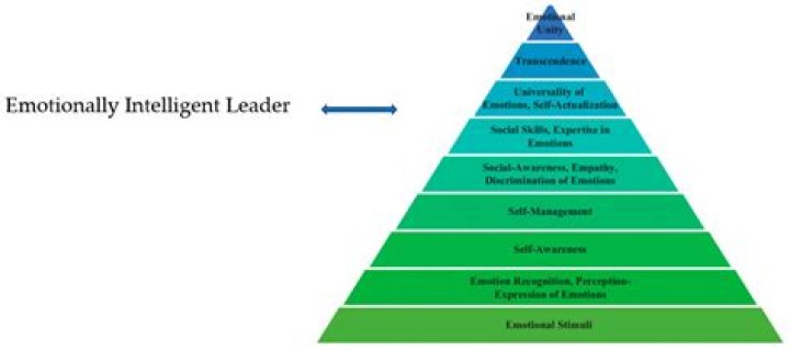 On Emotional Intelligence of 18 Leaders and Scholars: Which One Stands Out?