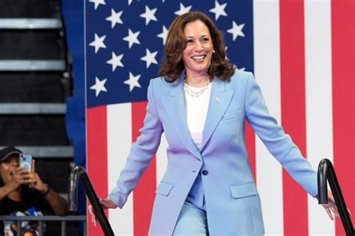 What Challenges Did Kamala Harris Face? A Comprehensive Look at Her Journey
